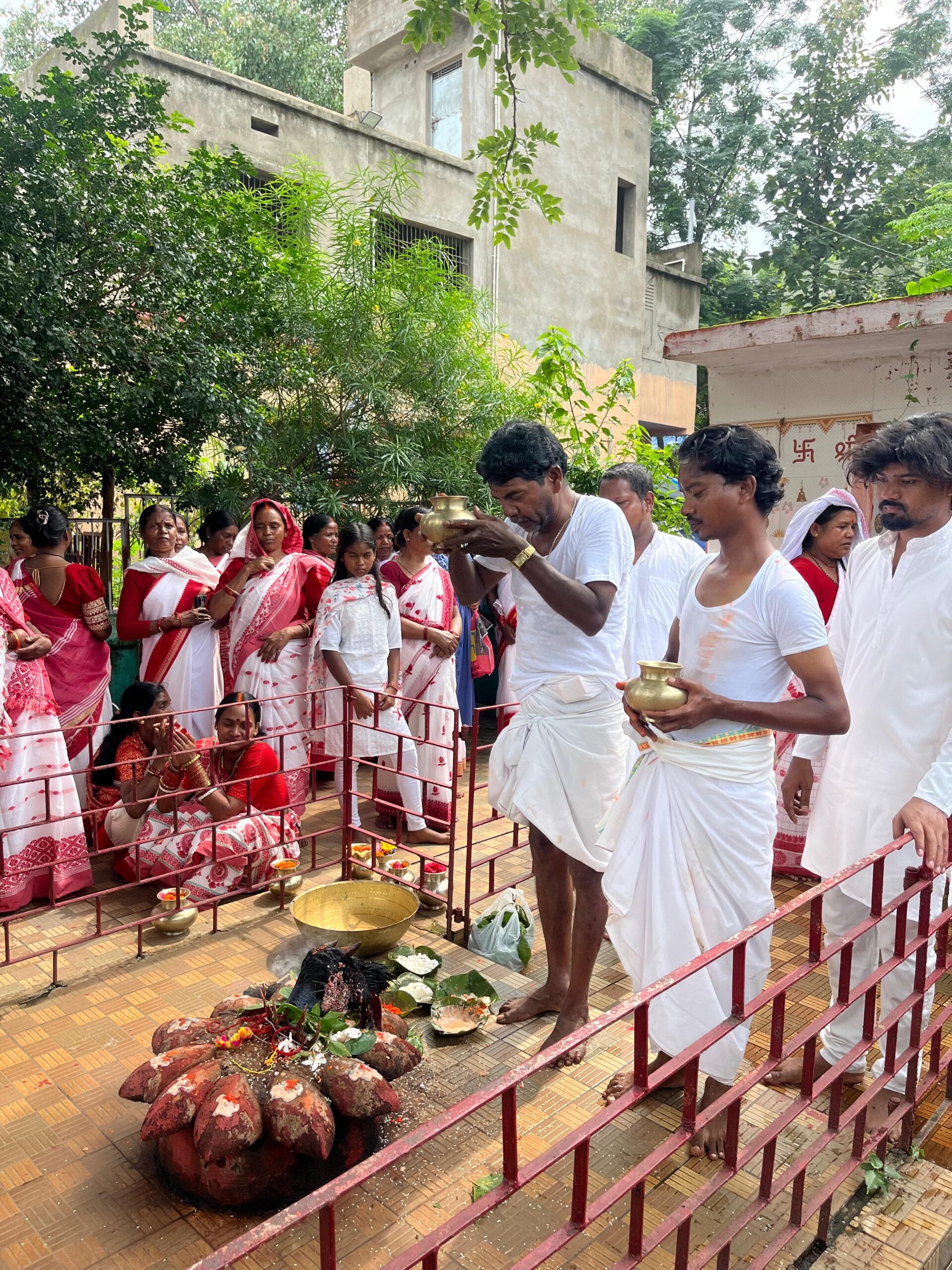 आषाढ़ी पूजा 2026: मिसिर गोंदा में पारंपरिक रीति-रिवाजों के साथ संपन्न हुई आदिवासी आस्था की अनूठी परंपरा
