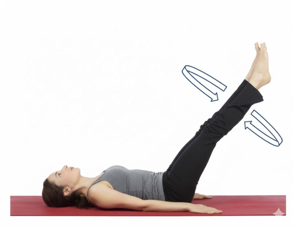 Leg Rotation Exercise